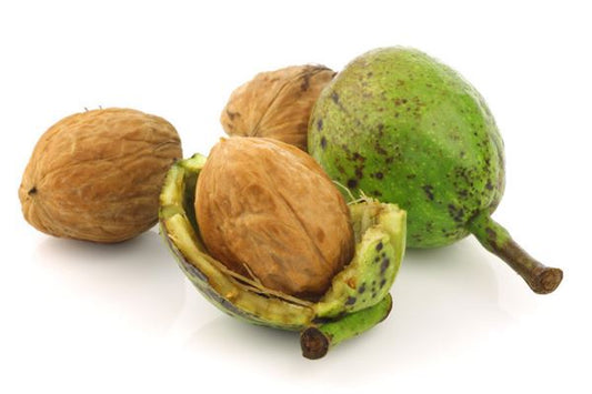 Married woman dreams of green walnuts — omen?