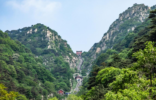 Mount Tai 泰山