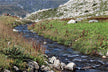 Omen - Dream of Clear River Water Flowing Gently