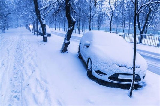 Omen - Dream of Deep Thick Snow Meaning