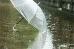 Omen - Dream of Heavy Rainstorm Deep Water