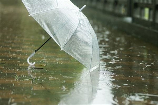 Omen - Dream of Heavy Rainstorm Deep Water