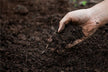Omen - Dream of Loosened Tilled Soil