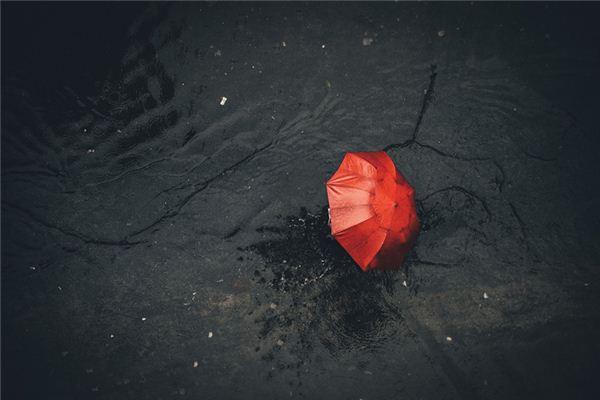 Omen - Dream of Rain Classical Interpretations