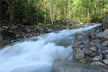 Omen - Dream of Rushing Fast-Flowing Water