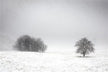 Omen - Dream of Snow Blanketing the Vast Earth