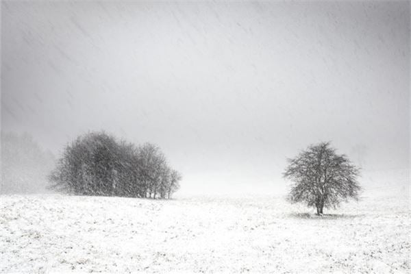 Omen - Dream of Snow Blanketing the Vast Earth