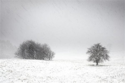 Omen - Dream of Snow Blanketing the Vast Earth