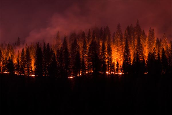 Omen - Dream of a Mountain Engulfed in Raging Fire?