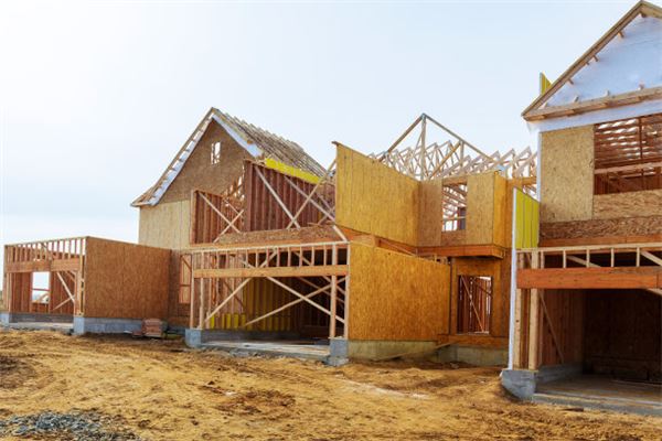 Omen - Woman Dreaming of Building a House Halfway