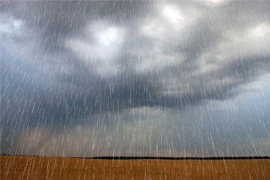 Omen - Woman Dreams of Gentle Misty Rain