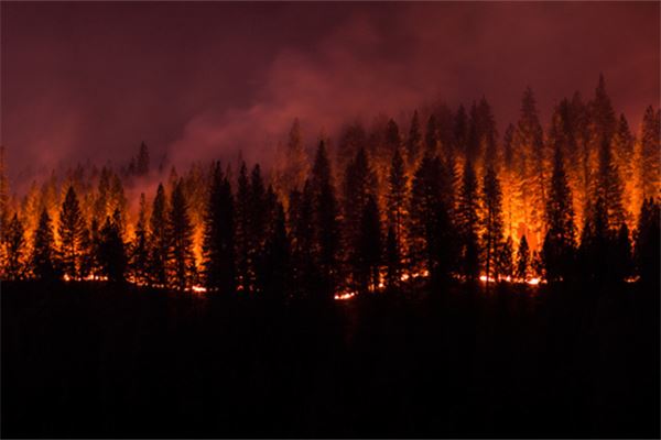 Omen - Woman Dreams of a Great Fire Burning the Mountain