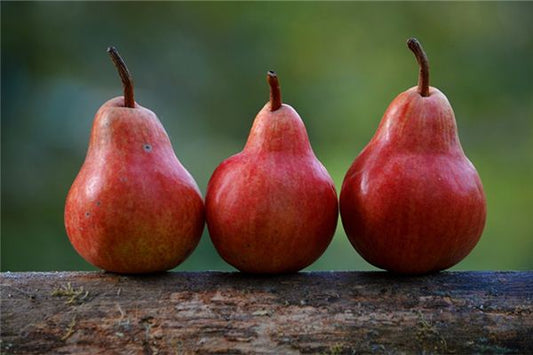 Omen of dreaming of someone giving you pears to eat
