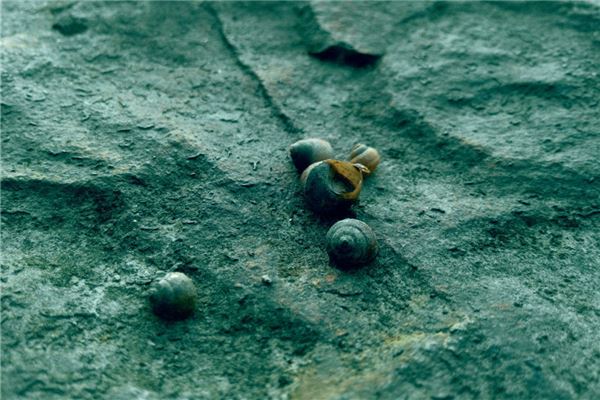 Omens - married woman picking river snails in dream