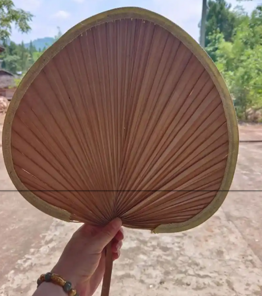 What is the Palm Fan 棕扇？