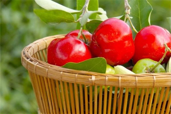 Pregnant woman dreams of cherry tree with red fruit — omen?