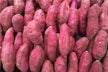 Pregnant woman dreams of sweet potatoes — gender omen?