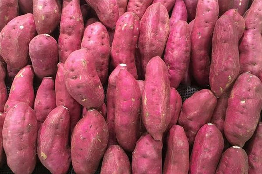 Pregnant woman dreams of sweet potatoes — gender omen?