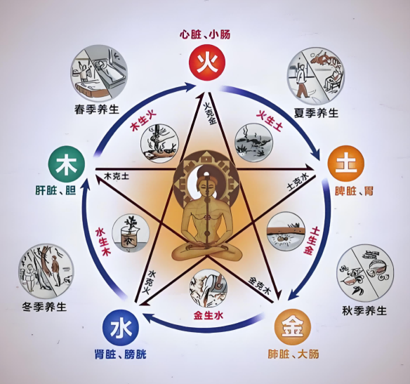 Primordial Qi Manual