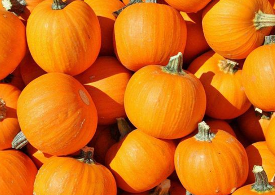 What does dreaming of pumpkins mean?