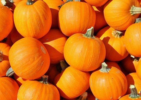 What does dreaming of pumpkins mean?