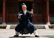 The Shao Yizheng 邵以正