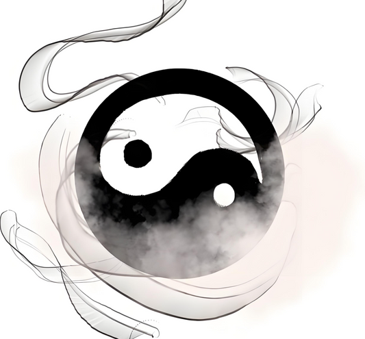 What the meaning of Taiji 太极？