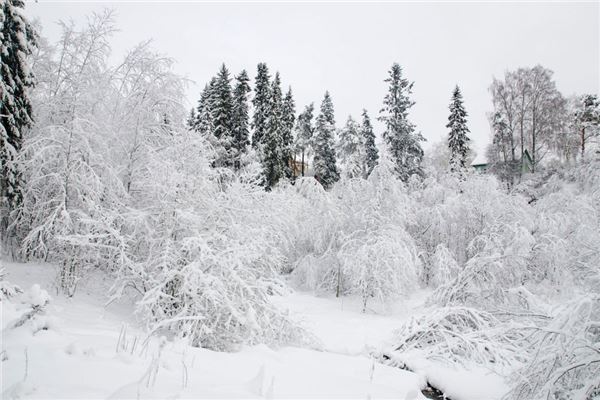 The Omen Of Dreaming of a Snow-Covered Ground?