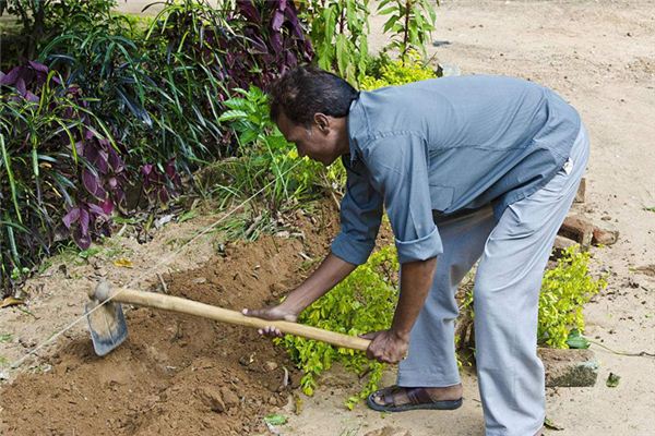 The Omen of Digging the Ground