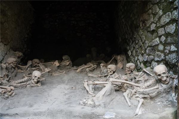 The Omen of Dreaming of Body Parts
