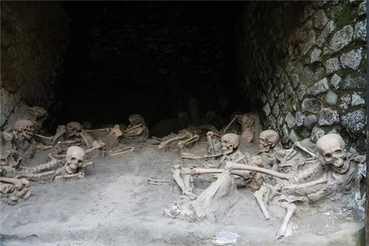 The Omen of Dreaming of Body Parts