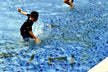 The Omen of Dreaming of Catching Black Fish