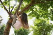 The Omen of Dreaming of Climbing a Tree