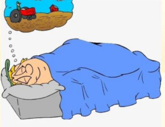 The Omen of Dreaming of Daily Behaviors
