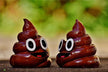 The Omen of Dreaming of Feces