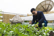 The Omen of Dreaming of Growing Vegetables