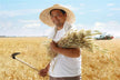 The Omen of Dreaming of Harvesting Rice Bring?