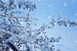 The Omen of Dreaming of Heavy Snow