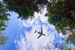 The Omen of Dreaming of Many Planes Flying in the Sky