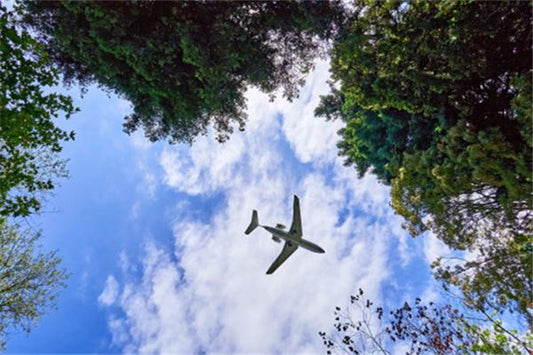 The Omen of Dreaming of Many Planes Flying in the Sky