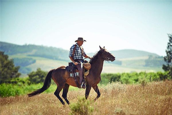 The Omen of Dreaming of Riding a Horse