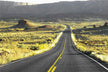 The Omen of Dreaming of Roads