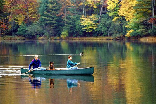 The Omen of Dreaming of Rowing a Boat