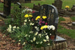 The Omen of Dreaming of Two Coffins Together
