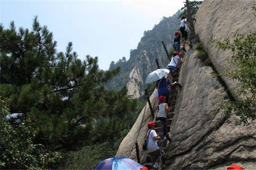 The Omen of Dreaming of Walking on a Dangerous Path