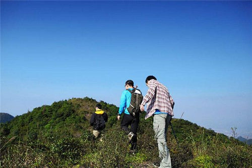 The Omen of Dreaming of Walking on a Mountain Path