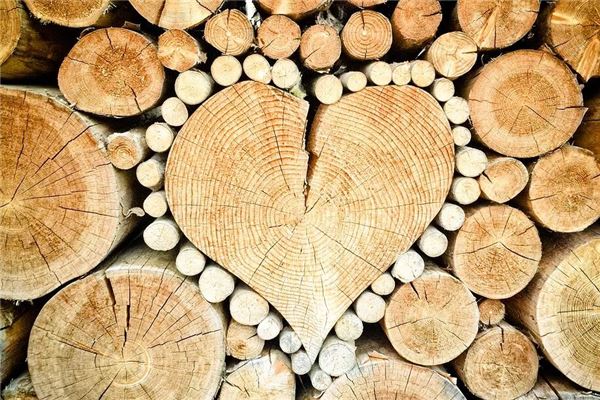The Omen of Dreaming of Wood