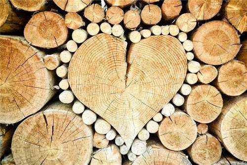 The Omen of Dreaming of Wood