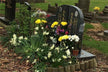The Omen of Dreaming of a Grave Being Dug Open
