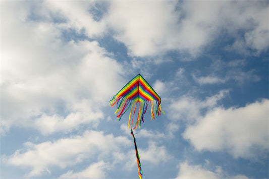 The Omen of Dreaming of a Kite Flying in the Sky